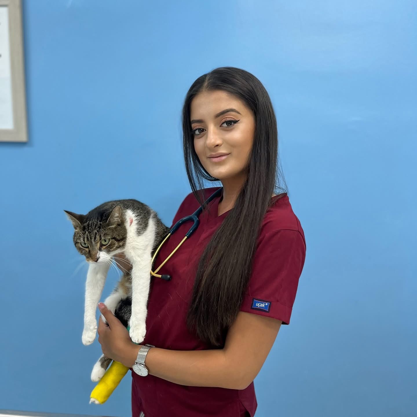 Veterinarka drži mačku u 4PET Veterinarskoj stanici